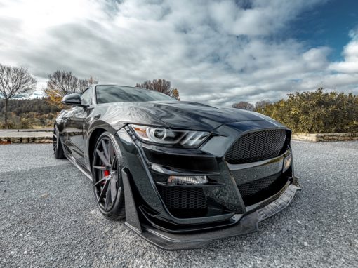 FORD MUSTANG VENOM GT CARBONADO